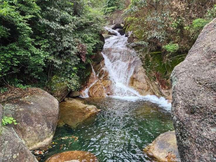 探索交流,尽在没有满月鹦鹉能碰水吗养了30多天?